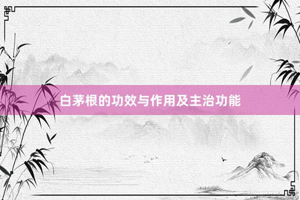 白茅根的功效与作用及主治功能