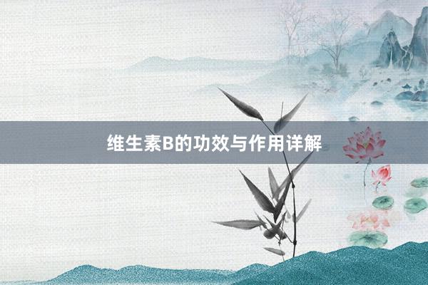 维生素B的功效与作用详解
